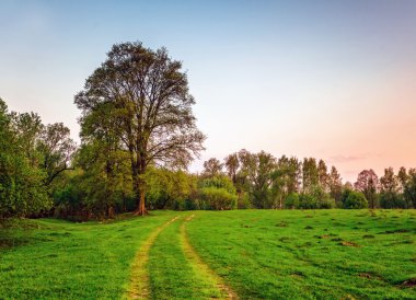 gün batımı alanında yol