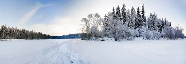 Panorama cosido de campo de invierno —  Fotos de Stock