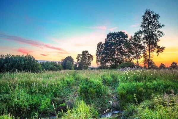 Pôr do sol no campo de verão — Fotografia de Stock