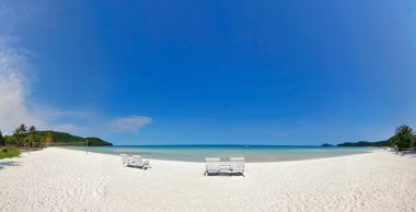 Egzotik tropikal plaj.