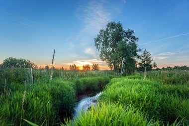 Yaz günbatımında alan ve nehir