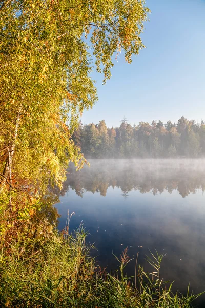 Dimmigt sjö — Stockfoto