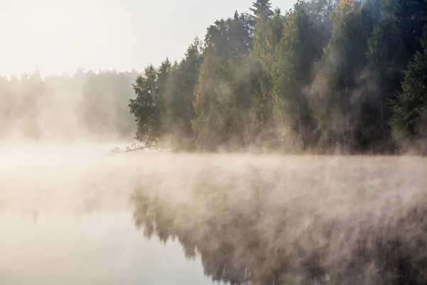 Ομίχλη λίμνη — Φωτογραφία Αρχείου
