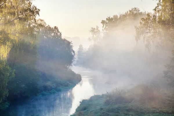 Sabah yaz Nehri — Stok fotoğraf