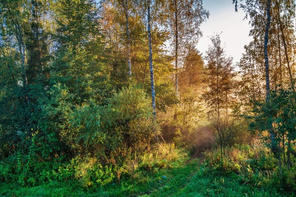 Paesaggio d'autunno — Foto Stock