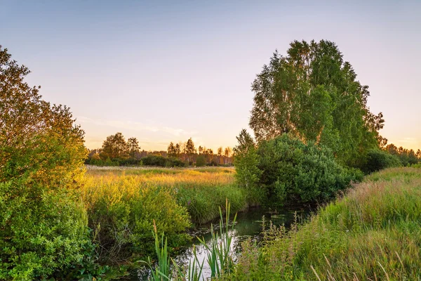 Sommar solnedgång runt fältet och floden — Stockfoto