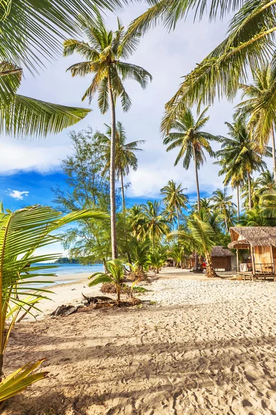 Bungalow economici su una spiaggia tropicale — Foto Stock