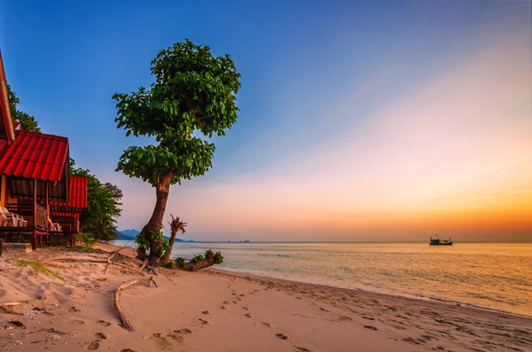 Praia tropical ao pôr do sol. — Fotografia de Stock