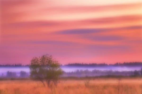 ピンぼけで夏の畑の夕日 — ストック写真