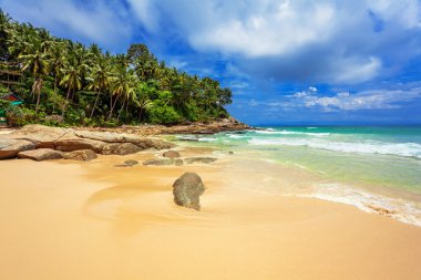 Egzotik tropikal plaj.