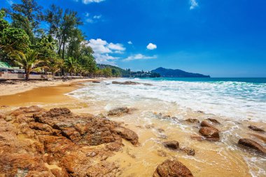 Egzotik tropikal plaj.