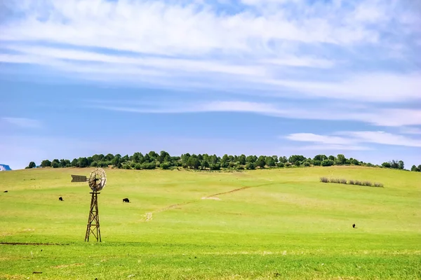 Landschaftlich grünes landwirtschaftliches Feld — Stockfoto