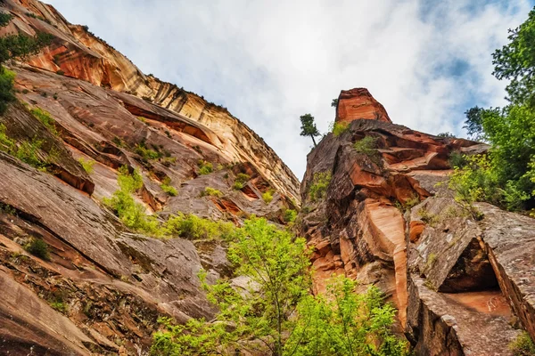 Zion nationalpark — Stockfoto