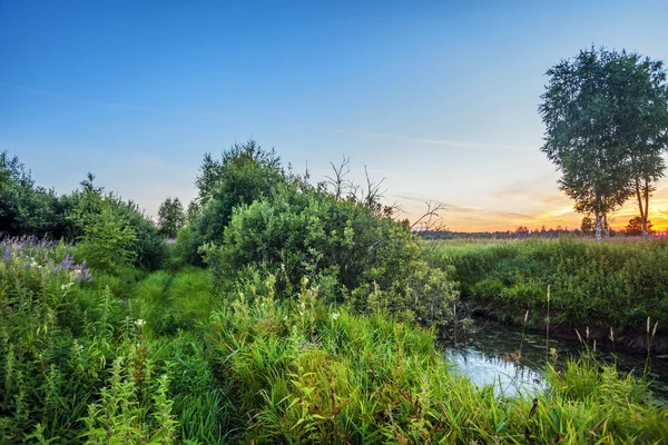 Puesta de sol de verano alrededor del campo y el río — Foto de Stock