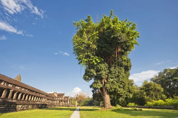 Templo de wat angkor — Fotografia de Stock
