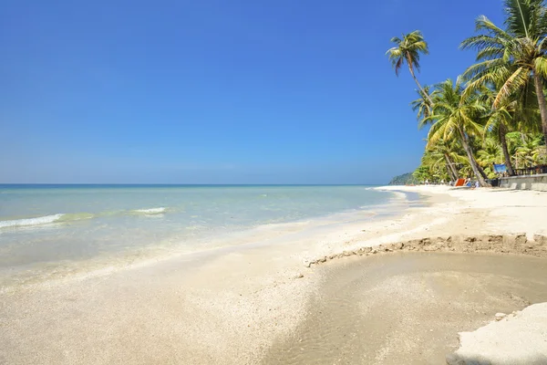 Exotisk tropisk strand. — Stockfoto