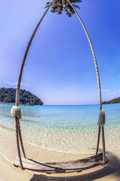 Swings and palm on the sand tropical beach. — Stock Photo, Image