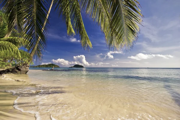 Playa tropical con palomas — Foto de Stock