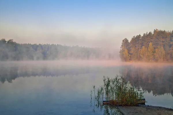 Foggy lake — Stock Photo, Image