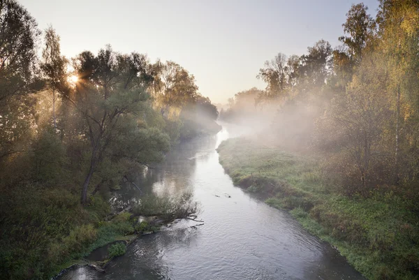 Ochtend zomer rivier — Stockfoto