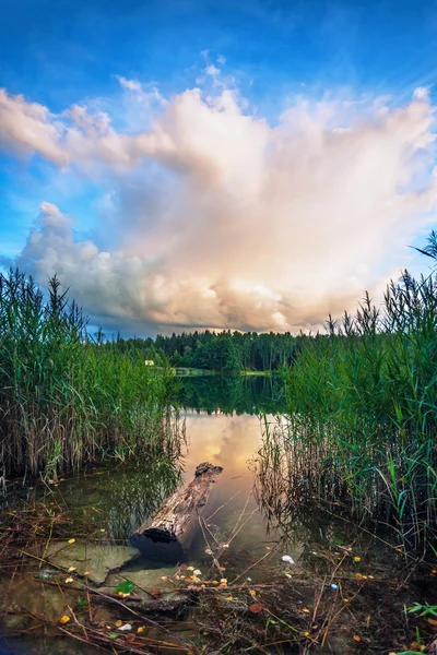 Tramonto vicino al lago estivo — Foto Stock