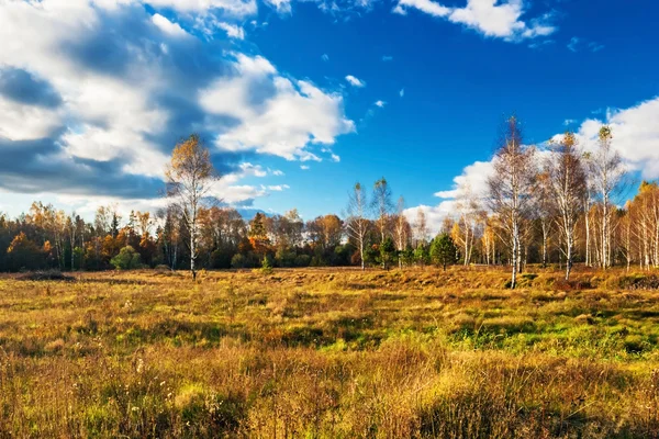 Zonnige herfst veld — Stockfoto