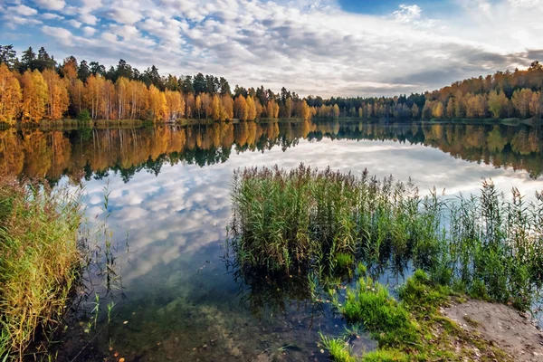 Jesienny jeziora w pobliżu lasu — Zdjęcie stockowe