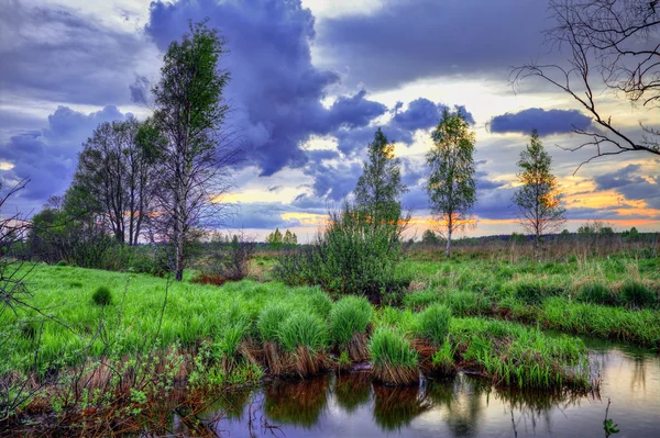 Puesta de sol en el campo de verano — Foto de Stock