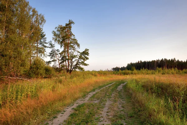 Road in field — Stock Photo, Image