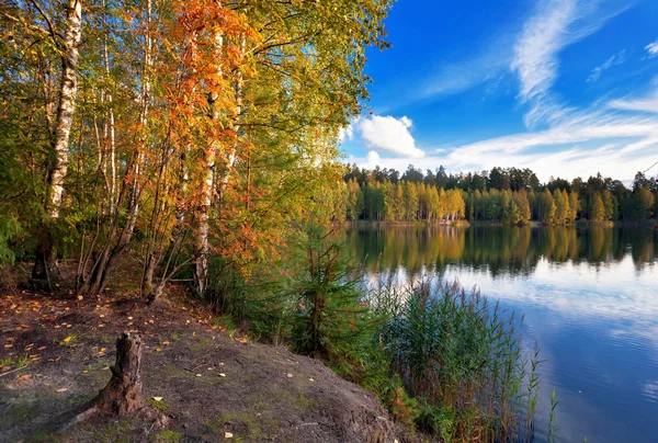 Höstlig sjö nära skogen — Stockfoto