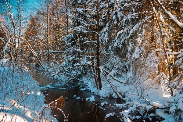 Zimní řeka — Stock fotografie