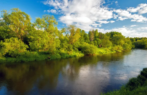 Groen veld met rivier — Stockfoto