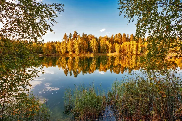 Podzimní jezero nedaleko lesa — Stock fotografie