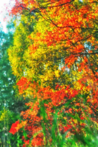 Höstens abstrakta bakgrund — Stockfoto