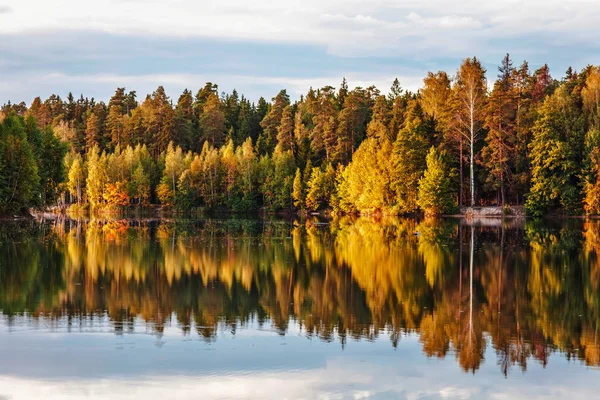 Jesienny jeziora w pobliżu lasu — Zdjęcie stockowe