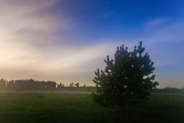 Nattliga landskap — Stockfoto