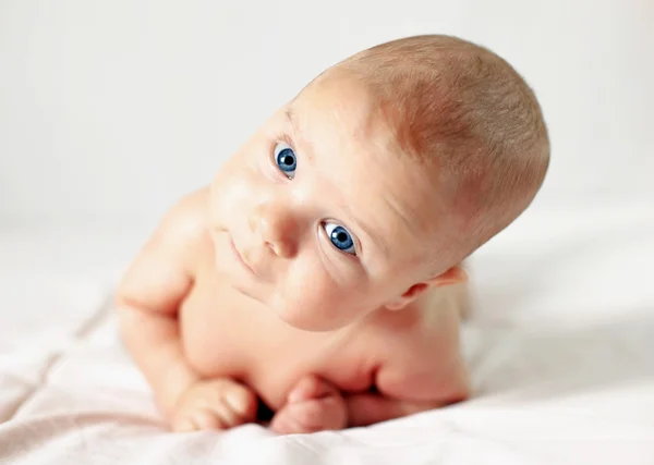 Picture of the newborn resting on a bed — Stock Photo, Image