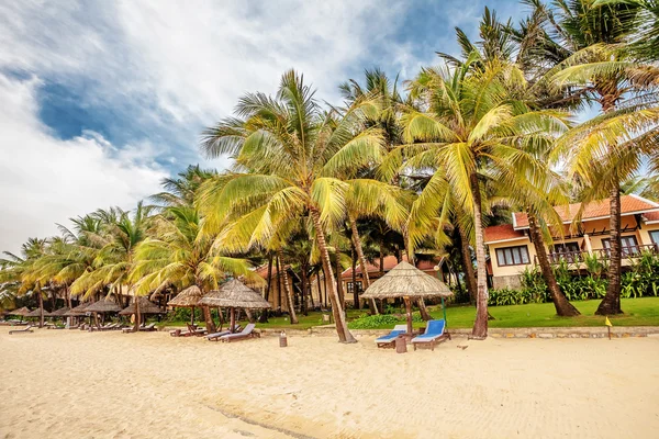 Egzotik tropikal plaj.