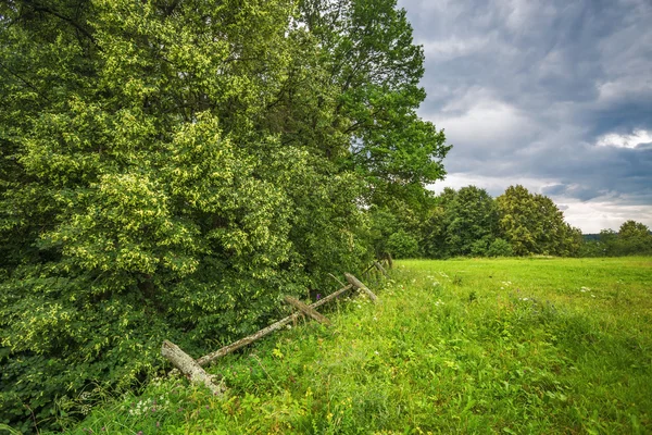 Sommaren sätter under dystra himmel — Stockfoto