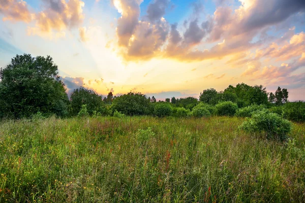 Coucher de soleil dans le champ d'été — Photo