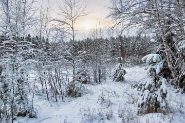 Kasvetli kış günbatımı