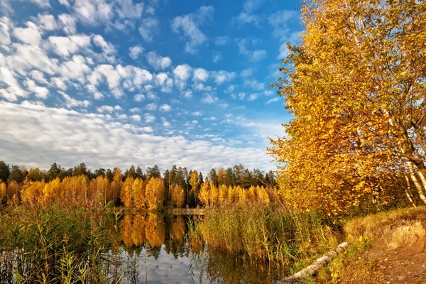 Podzimní jezero — Stock fotografie