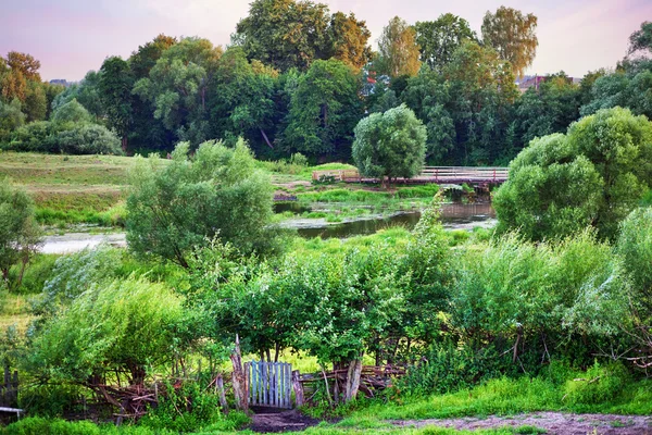 Yaz günbatımında alan ve nehir — Stok fotoğraf