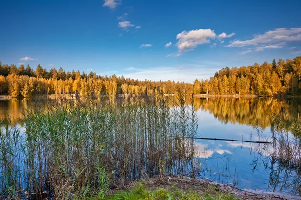 Höstlig sjö — Stockfoto