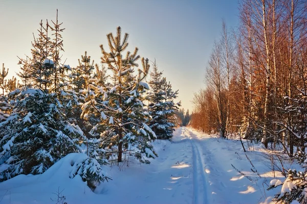 Winterfeld unter — Stockfoto