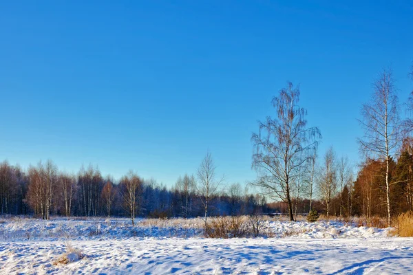 Campo invernale sotto — Foto Stock