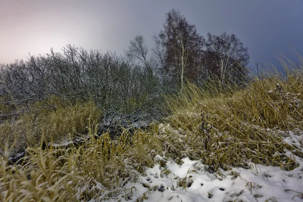 Notte nel campo invernale — Foto Stock