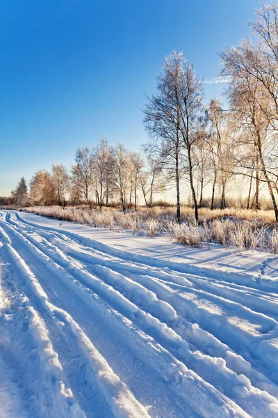 Campo de invierno bajo —  Fotos de Stock