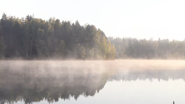 Hermoso otoño paisaje de otoño sobre el lago brumoso niebla. — Vídeo de stock