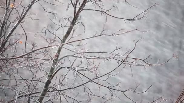 Nieve y viento — Vídeo de stock